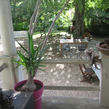 Villa Philis Μπερζεράκ Εξωτερικό φωτογραφία